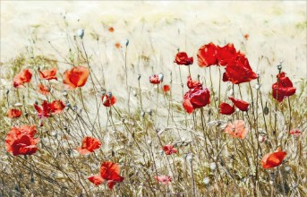 Bild på Fighting the Heat