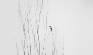 Ritratt ta’ Winter Moment