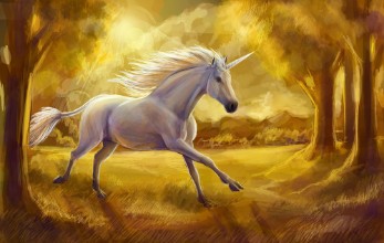 Slika Unicorn Sunset