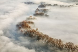 Slika Foggy Valley