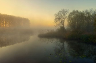 Picture of Nature's Painting