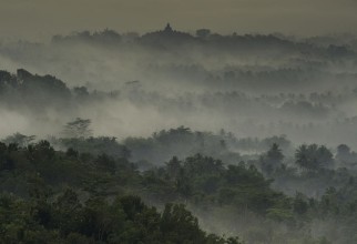 Picture of Temple in the Mist