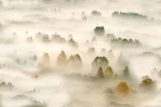 Picture of Autumn Dream 3
