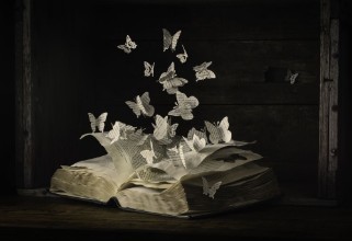 Εικόνα της Lepidopterology