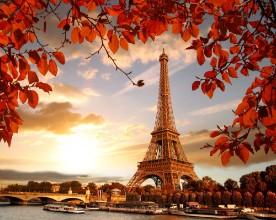 Picture of The Eiffel Tower in Autumn