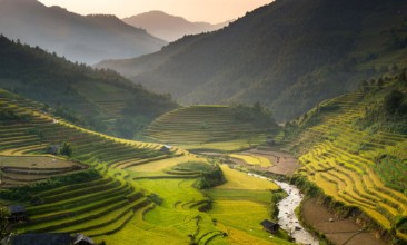Afbeeldingen van Terraced Rice Fields