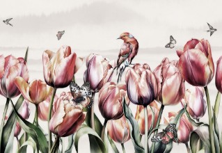 Picture of Tulip Dreams
