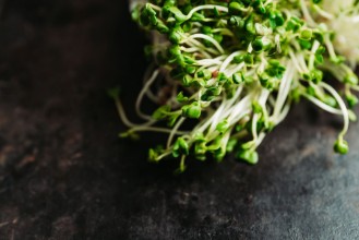 Снимка на Microgreen