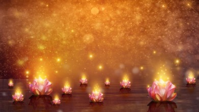 Bild på Lotus Magic