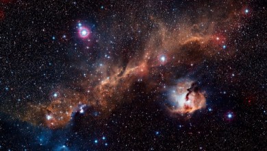 Obrazek Gwiazdy rodzą się