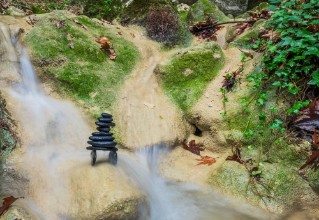 Picture of Zen-vesiputous