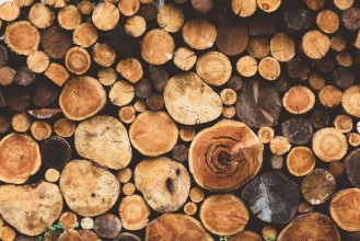 Bild på Firewood Texture