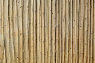 Bild von Bambus