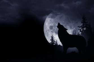 Obrázok z Howling Wolf Background