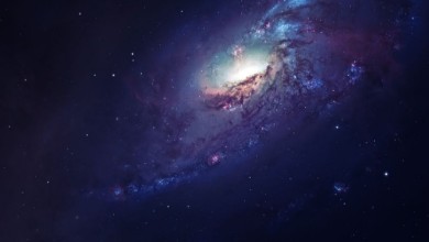 Picture of A Special Place