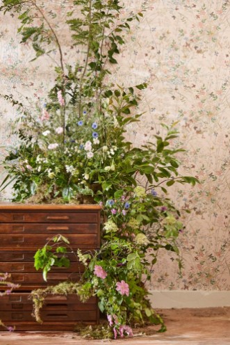 Imagem de Bambi Neapolitan - DDIW217279