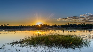 Bild på Okavango sunset