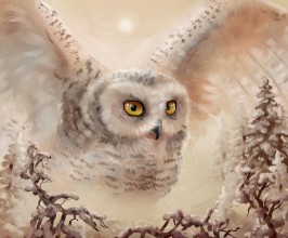 Picture of 105353360