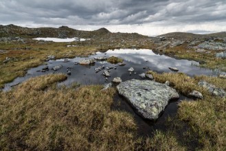 Picture of Kungsleden lappland schweden nationalpark sweden nordic scenery 1