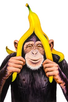 Image de Monkey Business