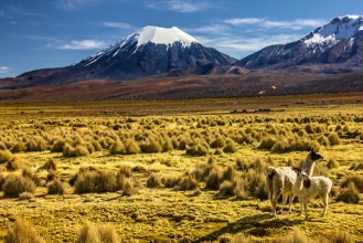 Afbeeldingen van Bolivia - Parinacota