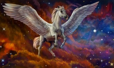 Picture of 116018438