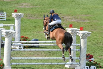 Bild på Concours hippique