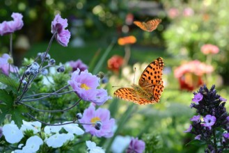 Picture of Blumen 731