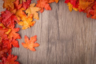 Bild på Back to the Root