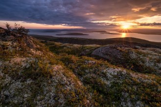 Image de Moss lichen and other mountain tundra plants in autumn colors growing by the slopes of Hibinpahkchorr mountain In background sun setting above lake Large Imandra Russia Hibiny