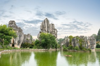 Afbeeldingen van Stone forest scenic