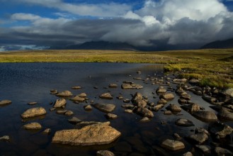 Afbeeldingen van Cold tundra in the polar mountains Polar Urals Russia