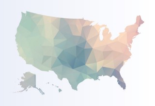 Bild på Polygonal map of Usa