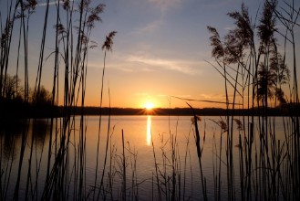 Picture of Sunset at Annone Lake