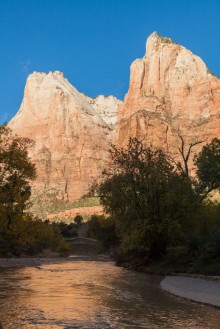 Bild på Zion National Park Sunrise Landscape