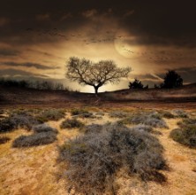 Picture of Eerie Desert
