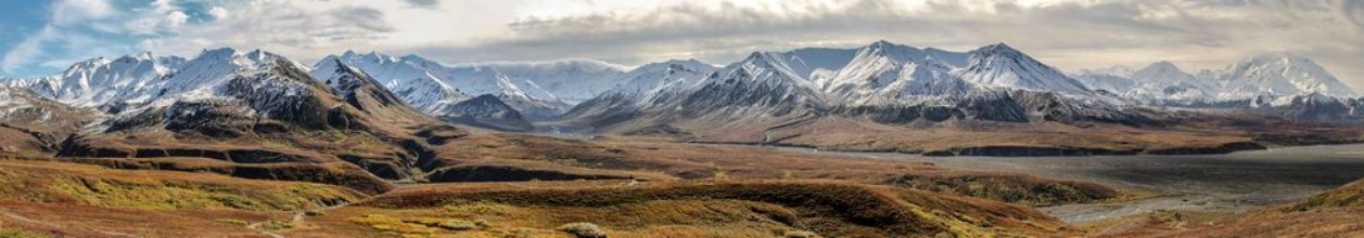 Picture of Panorama Autumn in Denali National Park Alaska