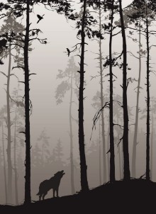 Afbeeldingen van Silhouette of a pine forest with wolves and birds brown colors vector illustration