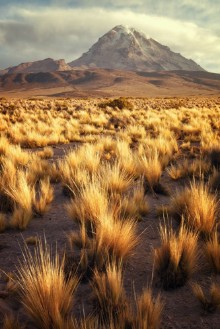 Afbeeldingen van Landscape with the sajama volcano in the background  plateau National Park bolivia