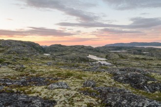 Image de Sunset on the tundra in the summer