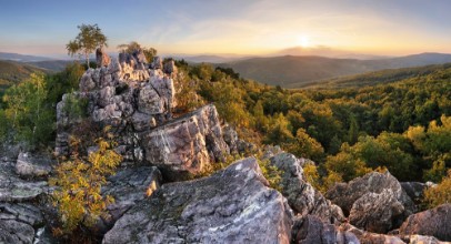 Picture of Sunset in forest with rocky mountain hill