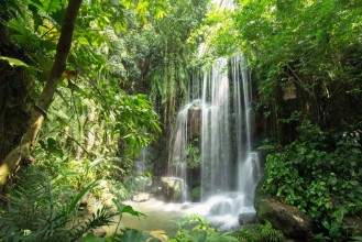 Picture of Beautiful waterfall in Jungle