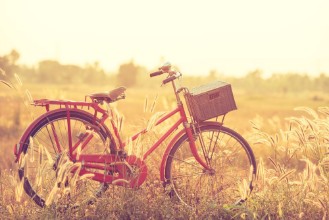 Afbeeldingen van Beautiful landscape image with Bicycle at summer grass fieldclassic bicycleold bicycle style for greeting Cards post card