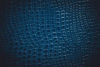 Picture of Crocodile leather texture background Macro shot Stock image