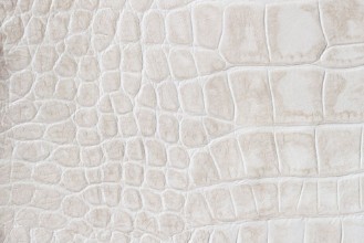 Bild på Fashion cream scales macro exotic background embossed under the skin of a reptile crocodile Texture genuine leather close-up light tones trend