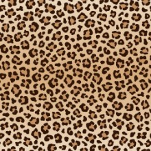 Image de Seamless animal leopard pattern vector