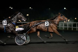 Picture of Course de trot attel 