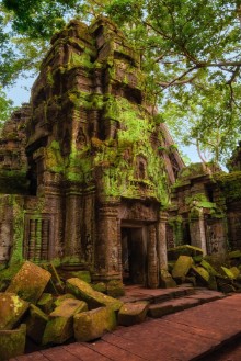 Picture of Ta Prohm temple Ancient Khmer architecture at Angkor Wat complex Siem Reap Cambodia