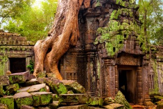 Bild på Ta Prohm temple Ancient Khmer architecture under the giant roots of a tree at Angkor Wat complex Siem Reap Cambodia