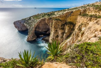 Afbeeldingen van Malta - The beautiful cliff of the Blue Grotto with plants in front